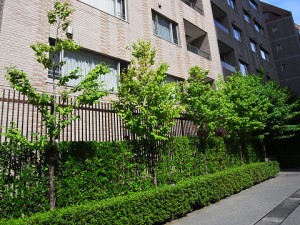 パークハウス赤坂氷川外観 (3)