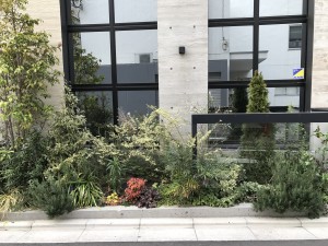 IMG_1801