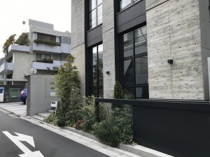 IMG_1802