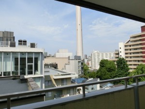 代官山エーデルハイム706 (15)