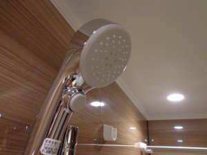 青山コーポラスのシャワーヘッド