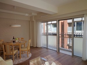 赤坂檜町レジデンス5F-室内写真