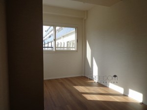 赤坂檜町レジデンス5F-室内写真