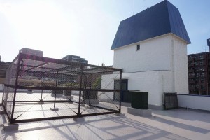 DSC00205
