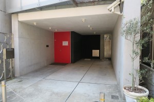 IMG_1557