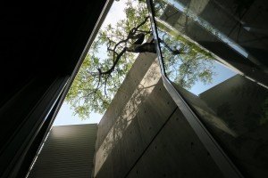 IMG_1564