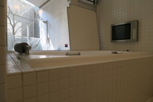IMG_1611