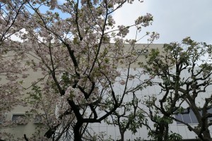 IMG_1833