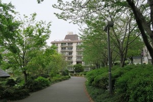 IMG_1876