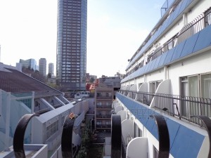 赤坂檜町レジデンス5F-室内写真