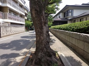 アポセント千駄ヶ谷-前面道路