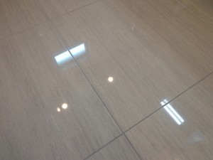 秀和六本木レジデンスの室内装飾