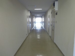 南青山スカイハイツの共用廊下