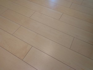 秀和六本木レジデンスの室内装飾