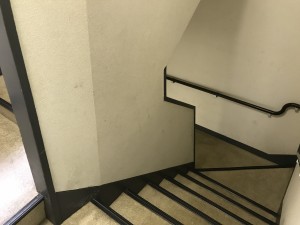 IMG_2386