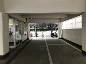 IMG_2404