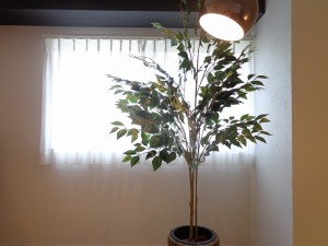 秀和六本木レジデンスの室内装飾