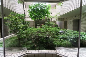 IMG_2158