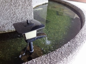 永谷ヒルプラザ六本木-共用部画像