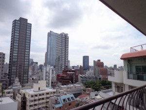 永谷ヒルプラザ六本木11F-室内写真