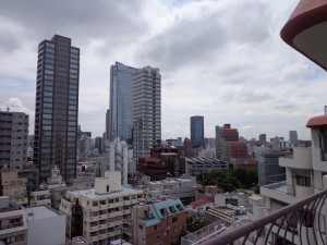 永谷ヒルプラザ六本木11F-室内写真