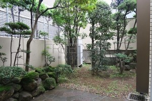 IMG_0010s