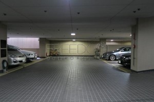 IMG_0052s