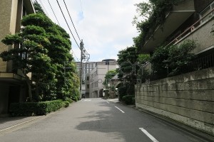 IMG_0075s