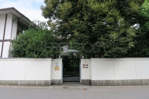 IMG_0078s