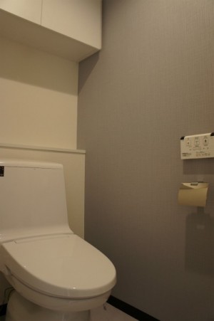 小田急南青山マンション403号室 (18)