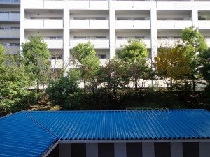 マンション目黒苑-外観共用部
