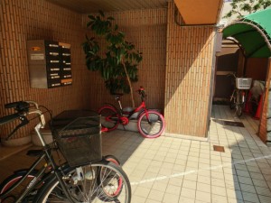 CIMG0268