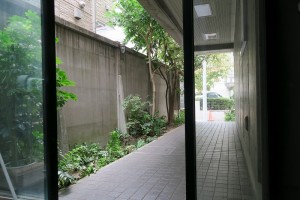 IMG_0053