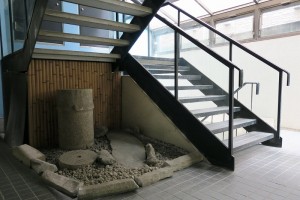 IMG_0054