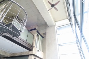 IMG_0221