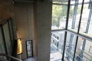 IMG_0246