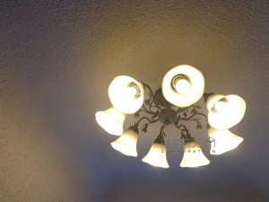秀和高樹町レジデンス-外観共用部