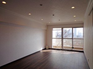 シャトー東洋南青山6F-室内写真（リビング）