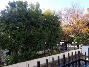 秀和恵比寿レジデンス-2F眺望写真