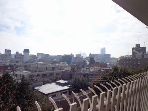 シャトー東洋南青山6F-室内写真 (バルコニー) 