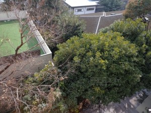 シャトー東洋南青山6F-室内写真 (バルコニー) 