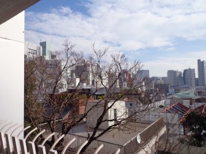 シャトー東洋南青山6F-室内写真 (バルコニー) 
