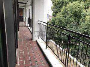 IMG_3255