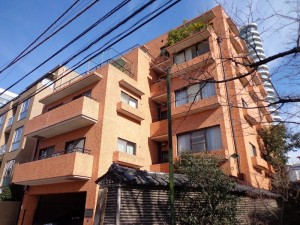 南青山パークハイツ-外観写真