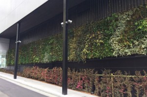 お向かい新青山東急ビル