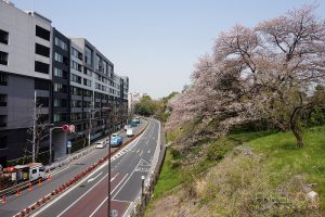 シャトー青山第3前面道路