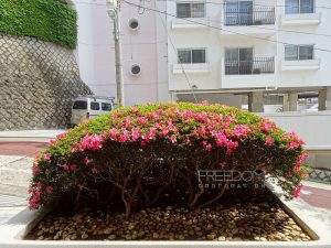 シャンボール第2目黒‗外観写真
