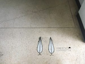 Kフラッツ_外観共用部写真