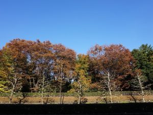 赤坂御所