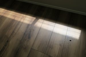 ニュー赤坂コーポラス_2F室内写真